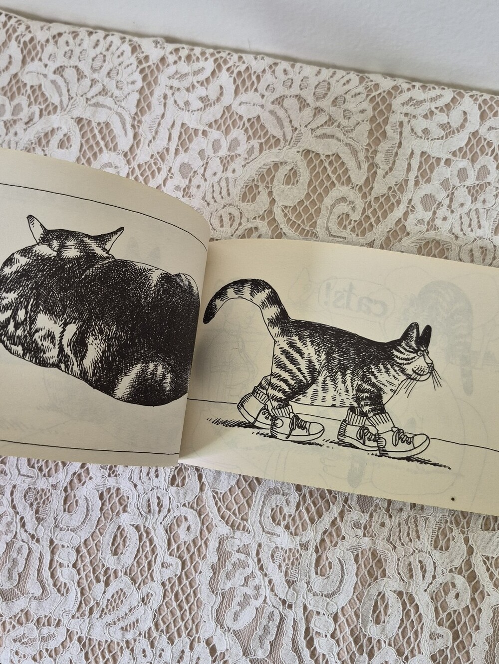 B. Kilban Cat Book - Picture 4 of 7